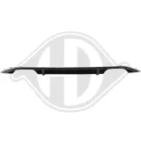 Blende, Stoßfänger hinten DIEDERICHS 2216459