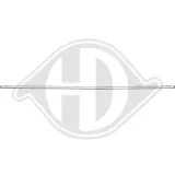 Zier-/Schutzleiste, Stoßfänger hinten DIEDERICHS 2218037