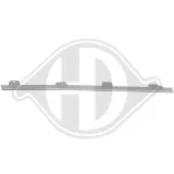 Zier-/Schutzleiste, Kühlergitter links DIEDERICHS 2236143