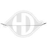 Blende, Kühlergitter vorne DIEDERICHS 2240741