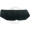 Motorhaube DIEDERICHS 2291000