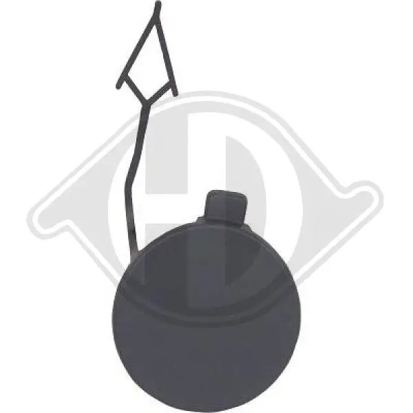 Klappe, Abschlepphaken vorne DIEDERICHS 2298663