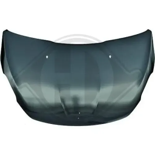 Motorhaube vorne DIEDERICHS 4227000 Bild Motorhaube vorne DIEDERICHS 4227000