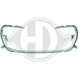 Zier-/Schutzleiste, Stoßfänger vorne DIEDERICHS 4235146