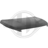 Motorhaube DIEDERICHS 4236100