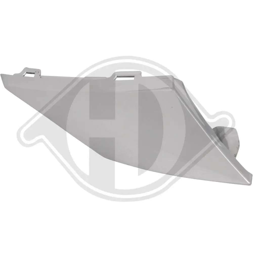 Zier-/Schutzleiste, Kühlergitter vorne rechts DIEDERICHS 4237146