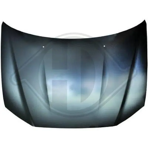 Motorhaube DIEDERICHS 5835000