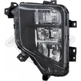 Nebelscheinwerfer links DIEDERICHS 5883989