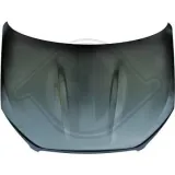 Motorhaube DIEDERICHS 6045900