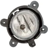 Nebelscheinwerfer links DIEDERICHS 6585189