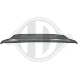 Blende, Stoßfänger hinten DIEDERICHS 6608469