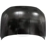 Motorhaube DIEDERICHS 6863000