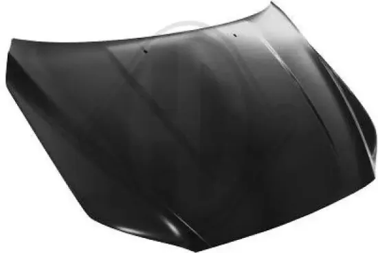 Motorhaube DIEDERICHS 7661000 Bild Motorhaube DIEDERICHS 7661000