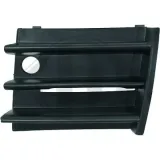 Kühlergitter vorne links DIEDERICHS 7831043