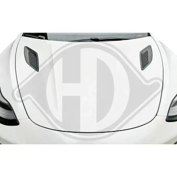 Motorhaube vorne DIEDERICHS 7930100