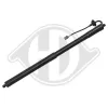 Gasfeder, Koffer-/Laderaum hinten links DIEDERICHS 9100537