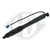 Gasfeder, Koffer-/Laderaum hinten rechts DIEDERICHS 9100562