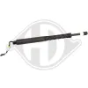 Gasfeder, Koffer-/Laderaum DIEDERICHS 9100571