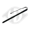 Gasfeder, Koffer-/Laderaum hinten links hinten rechts DIEDERICHS 9100580