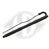 Gasfeder, Koffer-/Laderaum hinten rechts DIEDERICHS 9100612
