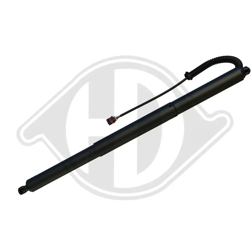 Elektromotor, Heckklappe DIEDERICHS 9100659