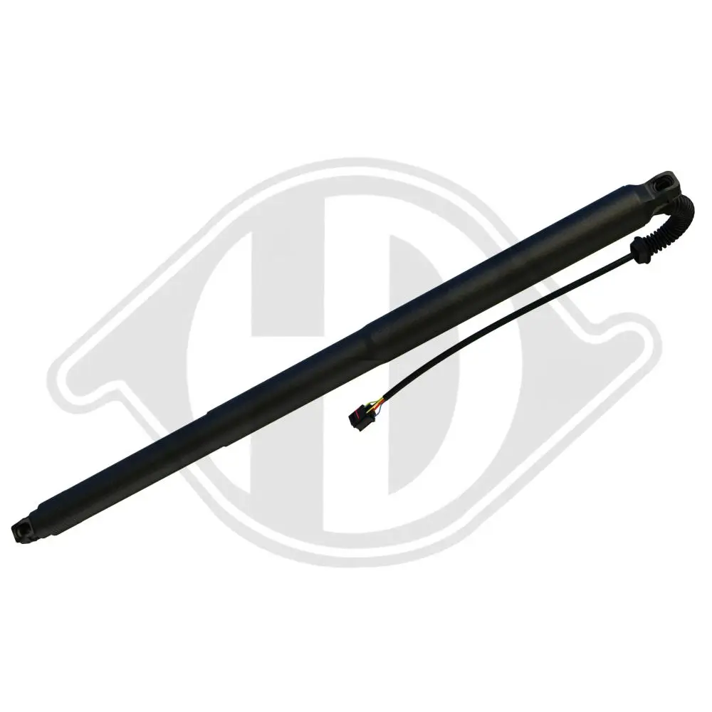 Elektromotor, Heckklappe DIEDERICHS 9100660