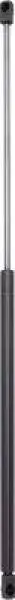 Gasfeder, Koffer-/Laderaum DIEDERICHS 9102602
