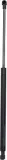 Gasfeder, Koffer-/Laderaum DIEDERICHS 9103101