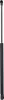 Gasfeder, Motorhaube DIEDERICHS 9107500