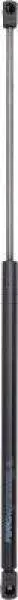 Gasfeder, Koffer-/Laderaum DIEDERICHS 9121403
