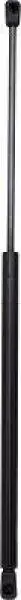 Gasfeder, Koffer-/Laderaum DIEDERICHS 9140400
