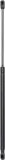 Gasfeder, Koffer-/Laderaum DIEDERICHS 9141500
