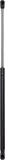 Gasfeder, Koffer-/Laderaum DIEDERICHS 9142801
