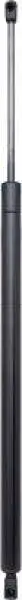 Gasfeder, Koffer-/Laderaum DIEDERICHS 9227200