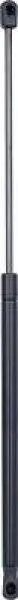 Gasfeder, Motorhaube DIEDERICHS 9305200