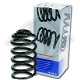 Fahrwerksfeder Hinterachse DIEDERICHS 9983630