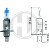 Glühlampe, Fernscheinwerfer 12 V 55 W H1 DIEDERICHS LID10062