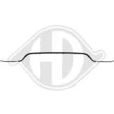 Zier-/Schutzleiste, Stoßfänger hinten DIEDERICHS ZUB00145