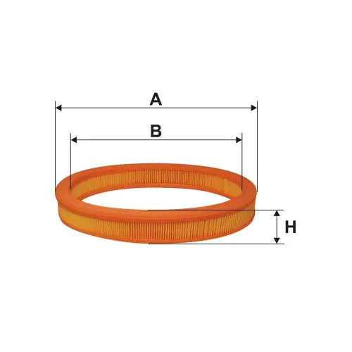Luftfilter FILTRON AE 250 Bild Luftfilter FILTRON AE 250