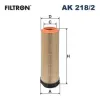 Luftfilter FILTRON AK 218/2