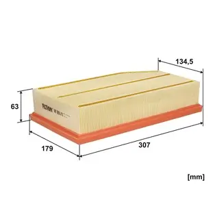 Luftfilter FILTRON AP 093/8