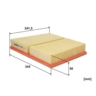 Luftfilter FILTRON AP 098/6 Bild Luftfilter FILTRON AP 098/6