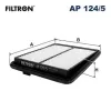 Luftfilter FILTRON AP 124/5