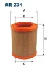 Luftfilter FILTRON AR 231