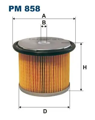 Kraftstofffilter FILTRON PM 858