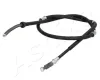Seilzug, Feststellbremse hinten links ASHIKA 131-05-551L