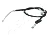 Seilzug, Feststellbremse hinten links ASHIKA 131-07-714L