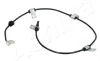 Sensor, Raddrehzahl hinten rechts ASHIKA 151-08-837