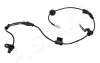 Sensor, Raddrehzahl hinten rechts ASHIKA 151-0H-H101