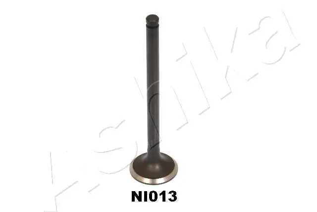 Auslassventil ASHIKA 15NI013